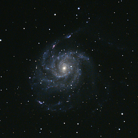 M101