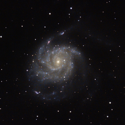 M101（再処理）