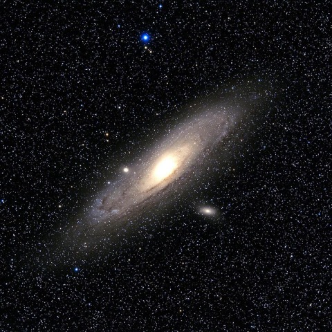 M31