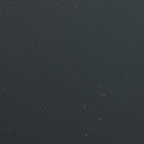 Nova Del 2013 (10/06)