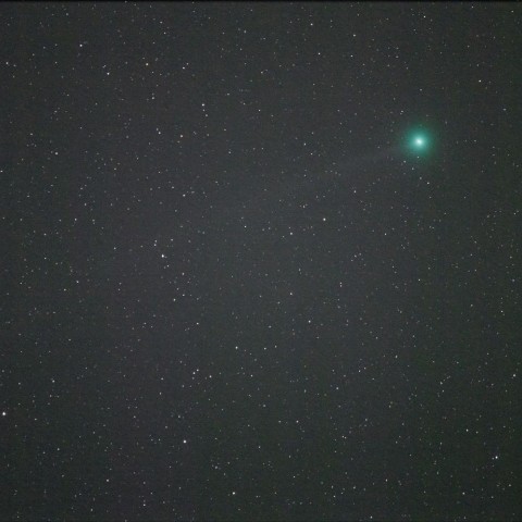 C/2014Q2　Lovejoy　（12/29）