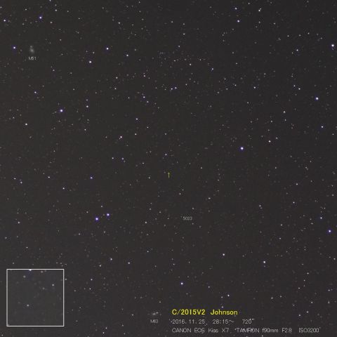 C/2015V2 Johnson（11/25）