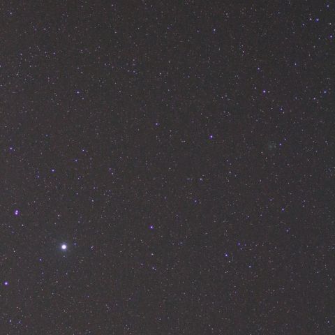 こと座ベガに近づく41P（04/28）