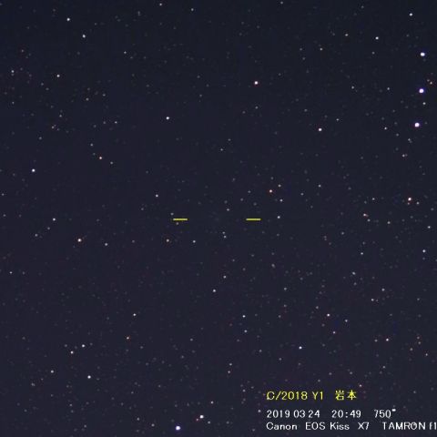 C/2018 Y1 岩本（03/24）