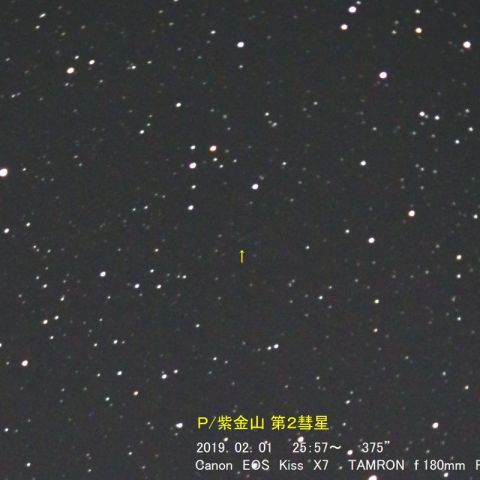 60P/　紫金山 第2彗星　（ 02/01 ）