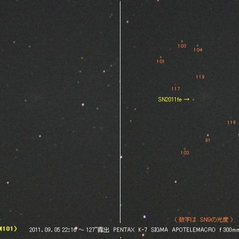 SN2011fe　in　M101 （9/5）