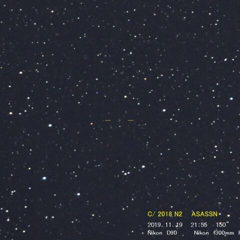 C/2018 N2　ASASSN（11/19）