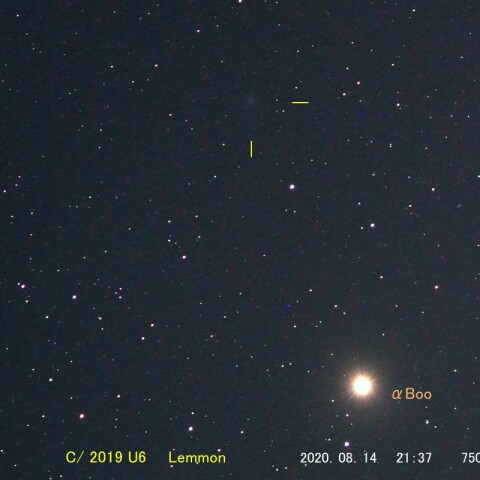 C/2019 U6　Lemmon（ 08/14 ）