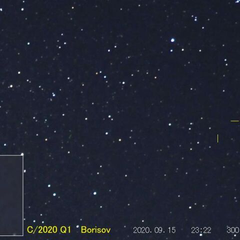 C/ 2020 Q1 Borisov ( 09/15 )