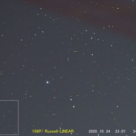 156P/ Russell‐LINEAR　( 10/24 )