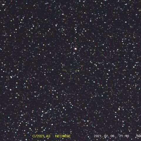 C/2021A2　NEOWISE　ネオワイズ彗星　( 2021/02/06 )