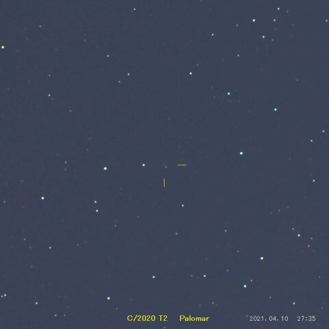 C/2020T2 Palomar　( 2021/04/11 )
