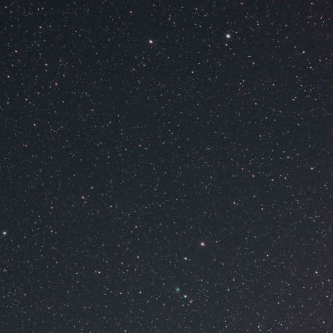 C/2009P1　Garradd　（1/25）