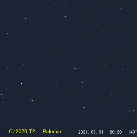 C/2020T2 Palomar (2021/06/01)
