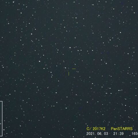 C/2017K2 PanSTARRS彗星　パンスターズ彗星（2021/08/03）