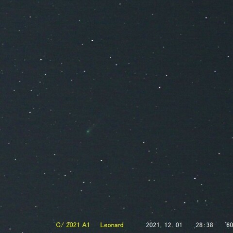 C2021/ A1　Leonard　 　（2021/12/02）
