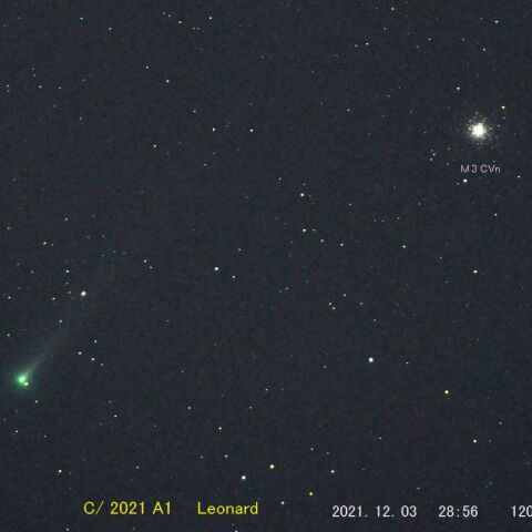 C2021/ A1　Leonard　 　（2021/12/04）