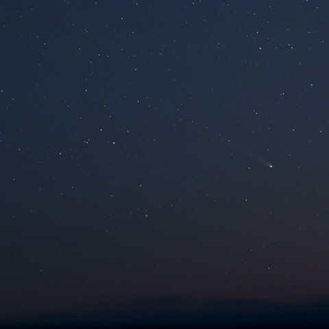 C/2021A1  Leonard　 　（2022/01/01）