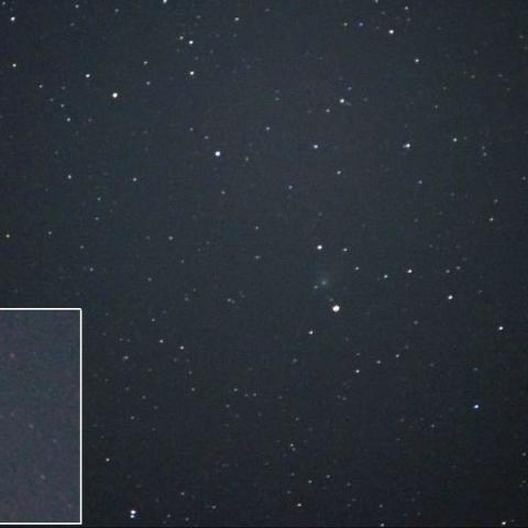 C/2009P1 Garradd  (4/23)