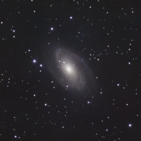 M81