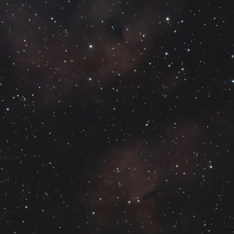 IC1318B