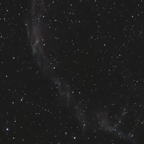C33