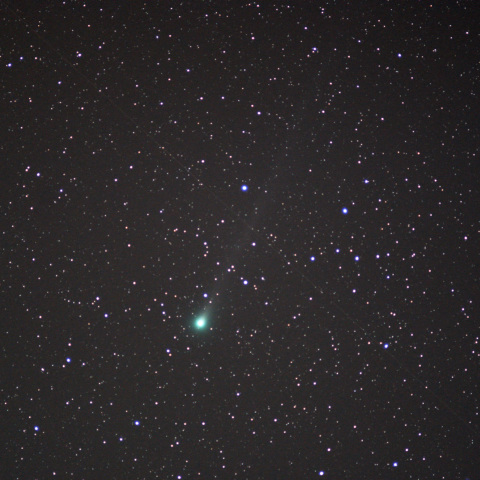 オルゴールで撮ったラブジョイ