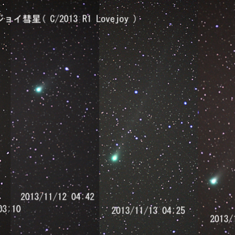 増光したのはアイソンではなくラブジョイ