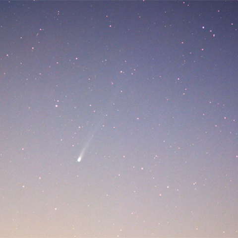 朝焼けにも負けないアイソン君!