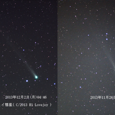 今朝のラブジョイと一週間前を比較