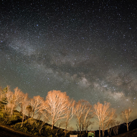 木々に横たわる天の川