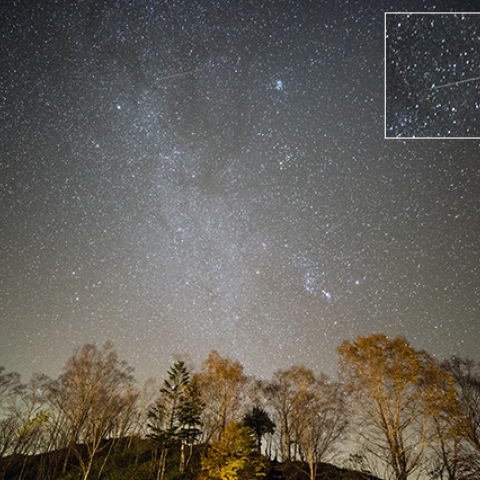 オリオン座流星群
