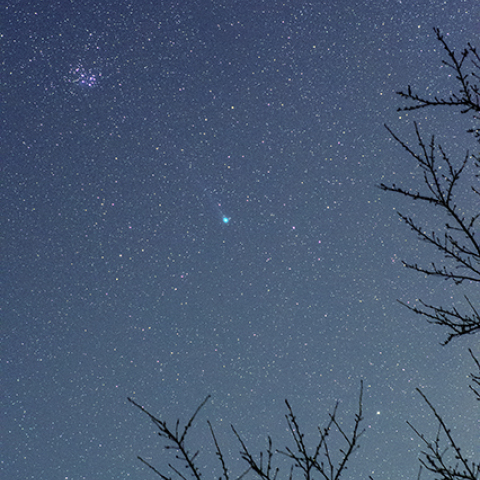 ラブジョイ彗星のある星景