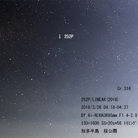 252P/LINEAR (2016)