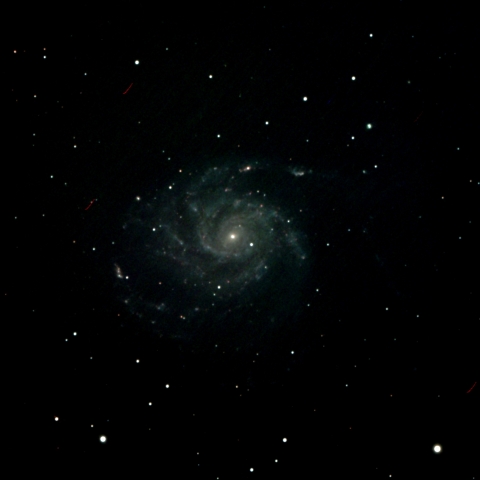 M101