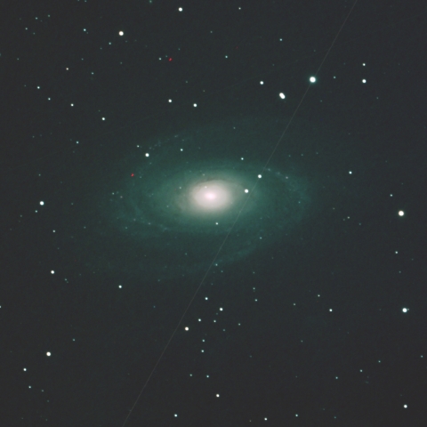 M81