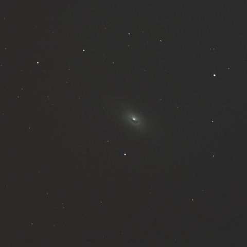 M64