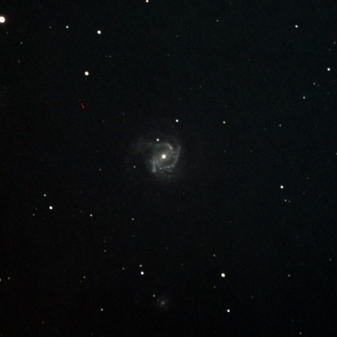 M61