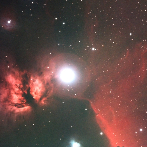 オリオン座のNGC2024