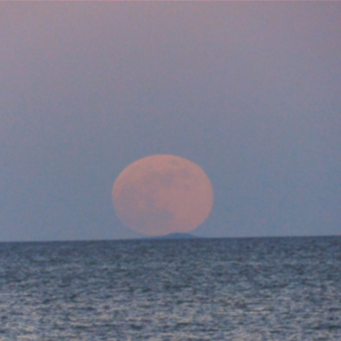 伊勢湾のストロベリームーン