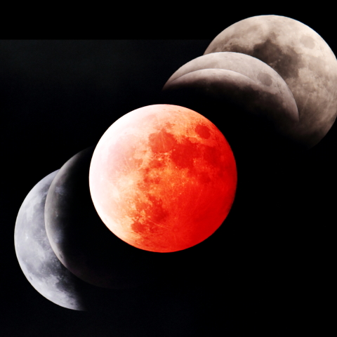 曇り空に悩まされた皆既月食