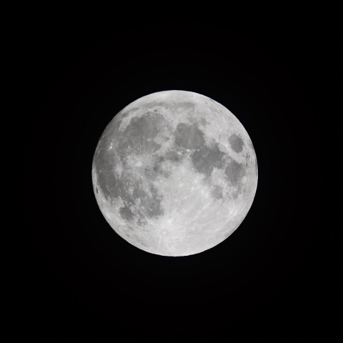 6月15日（水）の月