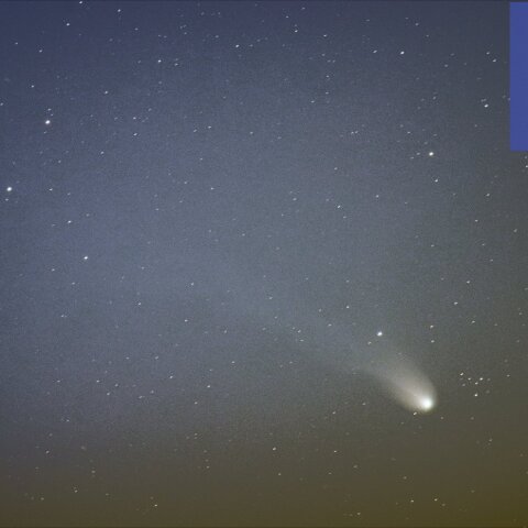 12P Pons-Brooks 彗星 4/10 宵