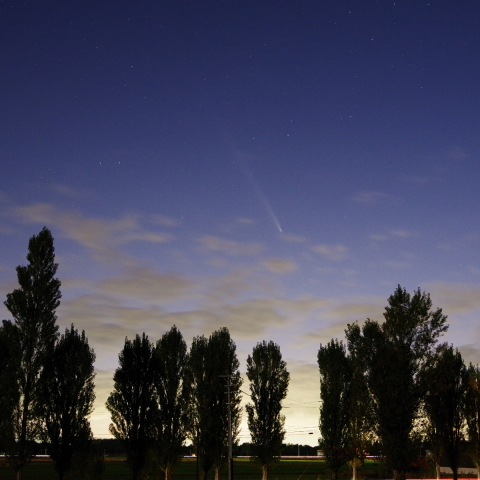 ポプラ並木とほうきぼし