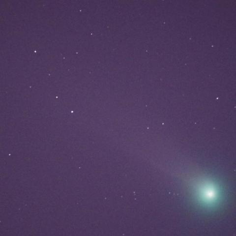 11月25日早朝のLovejoy彗星