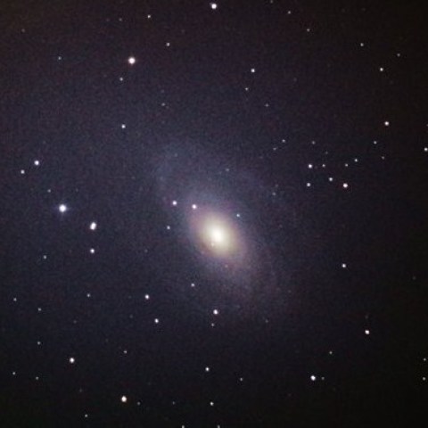M81　ドブソニアンで