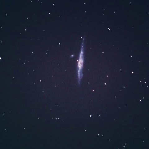 ドブソニアンで撮る NGC4631