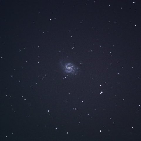 NGC4535 をドブソニアンで撮る