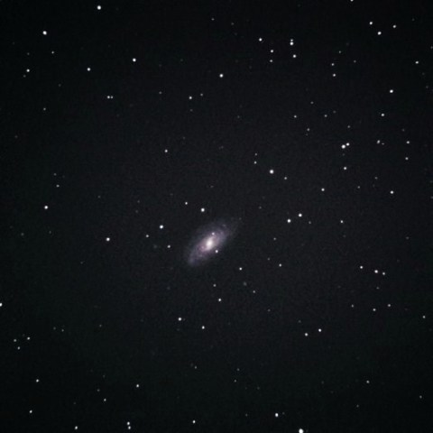 おおぐま座 NGC3953