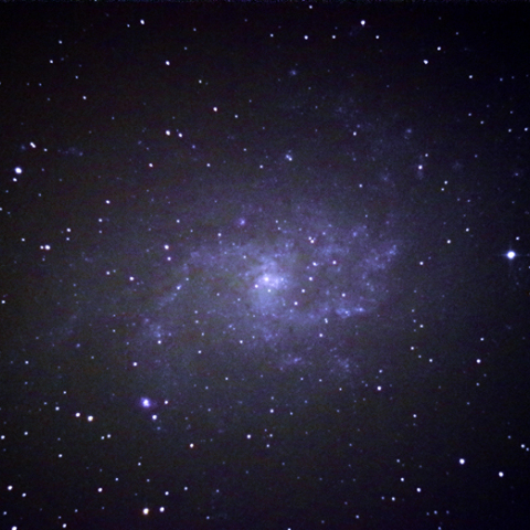 M33